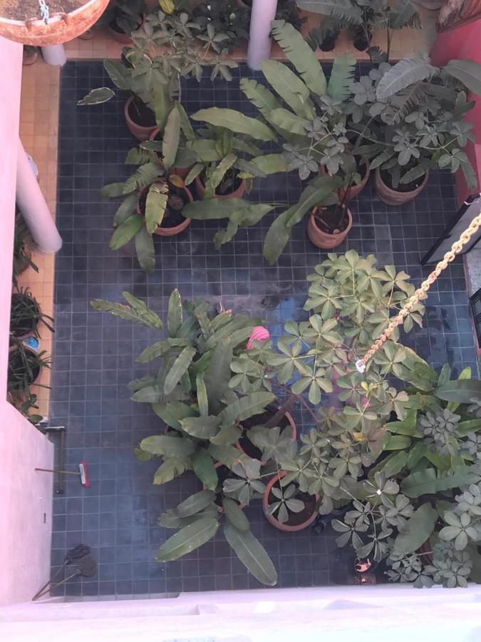 Aparthotel Meson San Felipe Guadalajara Exterior foto